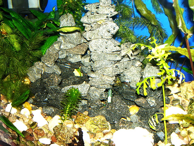 каменная горка для аквариума
